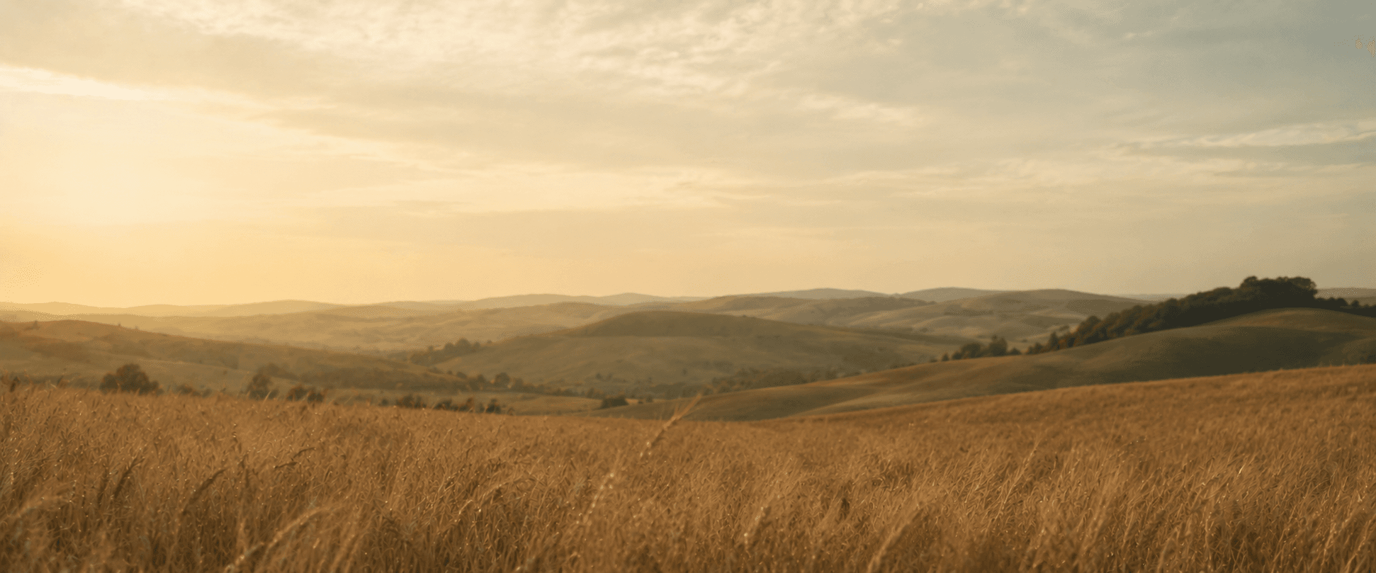 Autunno Inverno