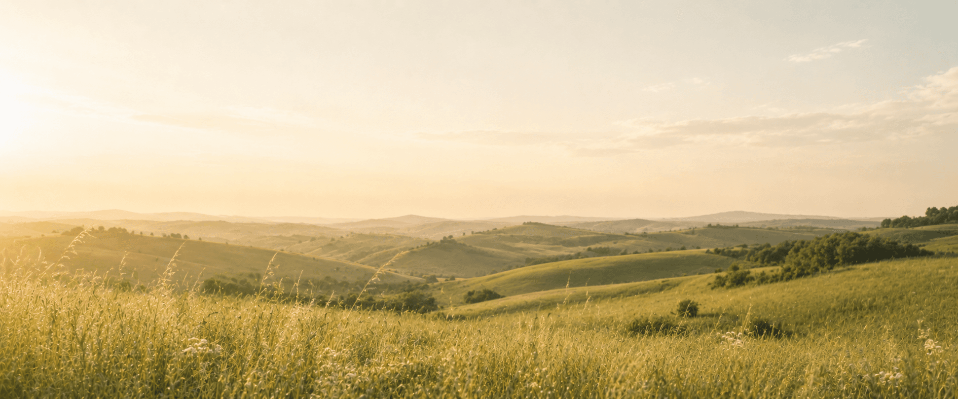 Primavera Estate